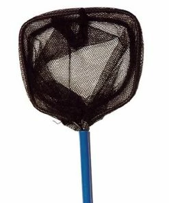 Dennett Seaside Kids Net