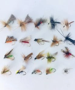 Stillwater 20x Sedges