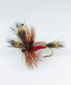 Stillwater 20x Sedges -Glasgow Angling sedges3 scaled