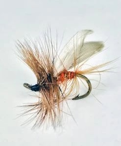 Stillwater 20x Sedges -Glasgow Angling sedges4 scaled