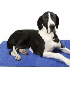 Scruffs Self-Cooling Mat Blue