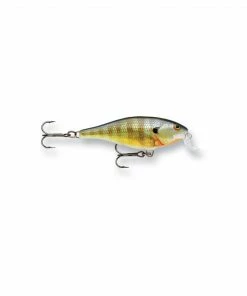 Rapala Shallow Shad Rap -Glasgow Angling shallow shad rap bluegill bg