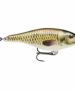 Rapala Shallow Shad Rap -Glasgow Angling shallow shad rap carp carp