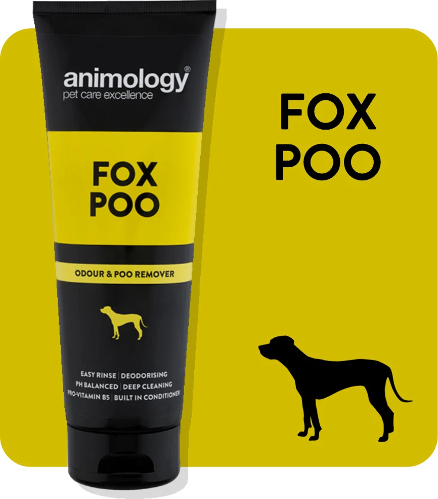 Animology Shampoo Fox Poo 250ml 1 Animology Shampoo Fox Poo 250ml