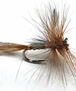 Stillwater Sherry Spinner Dry Fly - 1 Dozen