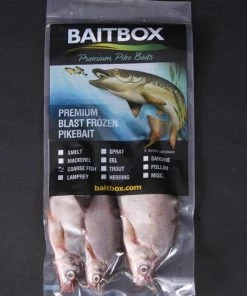 Baitbox Frozen Skimmer Bream
