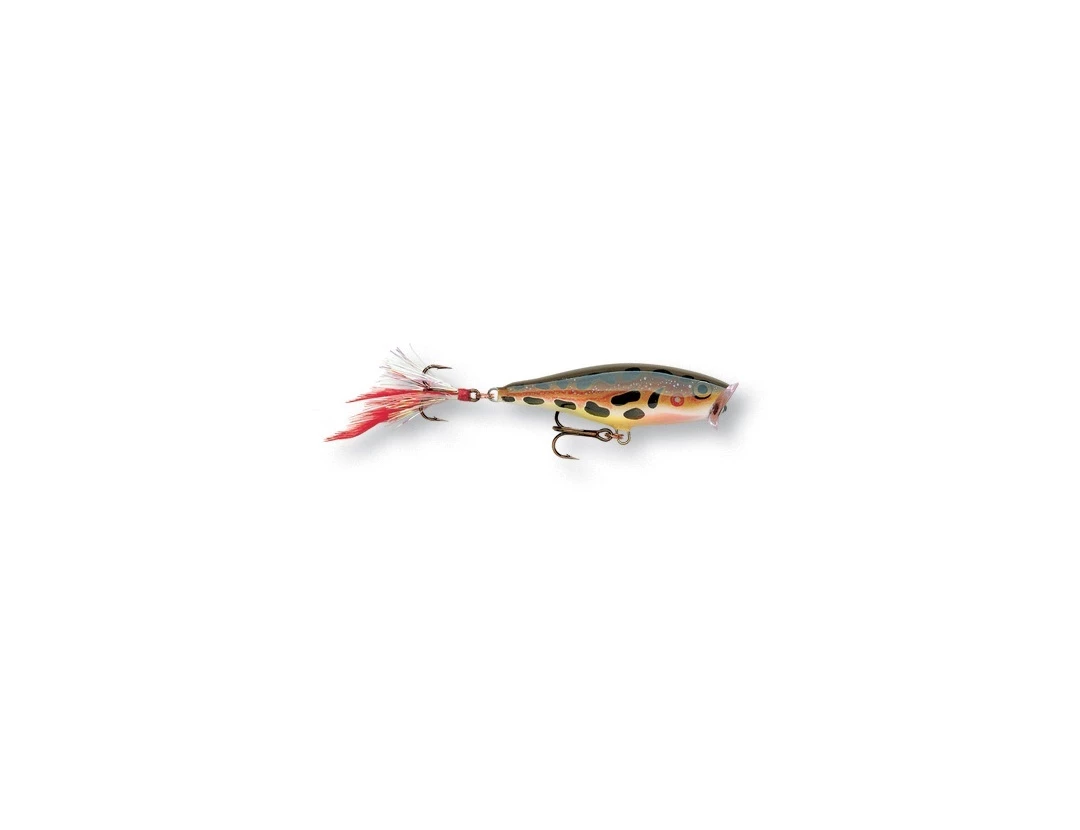 Rapala Skitter Pop Top Water Lure 3 Rapala Skitter Pop Top Water Lure - Image 3