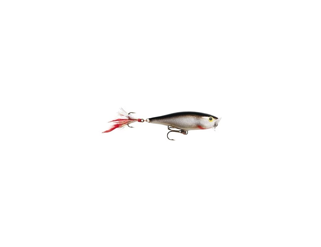 Rapala Skitter Pop Top Water Lure 8 Rapala Skitter Pop Top Water Lure - Image 8