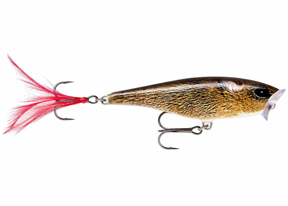 Rapala Skitter Pop Top Water Lure 23 Rapala Skitter Pop Top Water Lure - Image 23