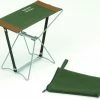Shakespeare Skp Folding Stool