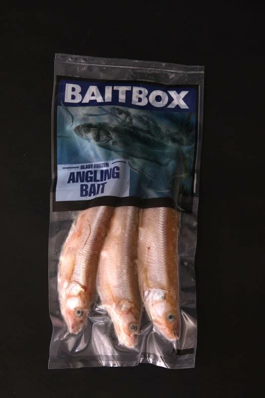 Baitbox Frozen Smelt 2 Baitbox Frozen Smelt - Image 2