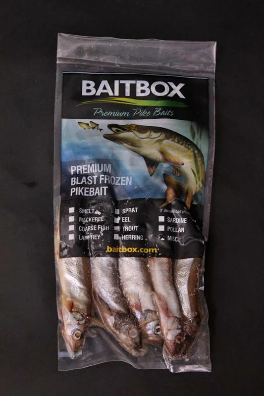 Baitbox Frozen Smelt 7 Baitbox Frozen Smelt - Image 7
