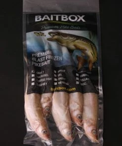 Baitbox Frozen Smelt