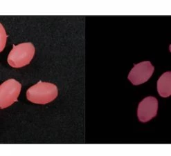 Asari Soft Oval Beads -Glasgow Angling soft oval beads p