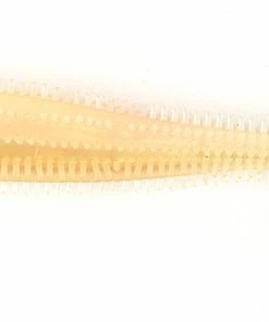 Fox Rage Spikey Shads Ultra UV 15 Fox Rage Spikey Shads Ultra UV -Glasgow Angling spikey shads ultra uv pearl