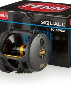 PENN Squall Level Drag 2 Speed -Glasgow Angling squall vsw d