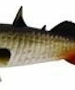 Westin Stanley the Stickleback 6pc 13 Westin Stanley the Stickleback 6pc -Glasgow Angling stanley the lively roach