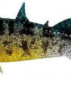 Westin Stanley the Stickleback 6pc 17 Westin Stanley the Stickleback 6pc -Glasgow Angling stanley the spawning stickleback