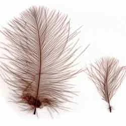 Veniard Super Select Cul De Canard 1 Veniard Super Select Cul De Canard