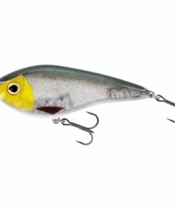 Westin Swim Glidebait -Glasgow Angling swim glidebait 3d headlight