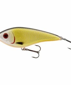Westin Swim Glidebait -Glasgow Angling swim glidebait official roach