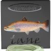 Vision Tane Fly Line