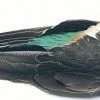 Veniard Teal Wings