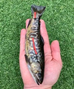 Gadda Tiger Trout 3pk