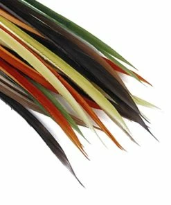 Veniard Turkey Biots