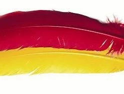 Veniard Turkey Wing Quills