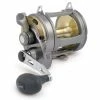 Shimano Tyrnos 2 Speed