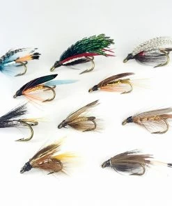 Stillwater 10x Wee Doubles