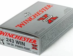 WINCHESTER 20pk .243 Win 100G Power Point