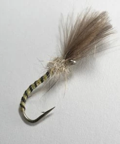 Stillwater Yellow Owl #12